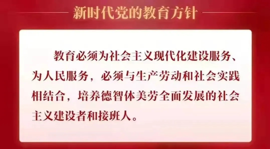 篮球训练视频教学软件下载大全安卓_0